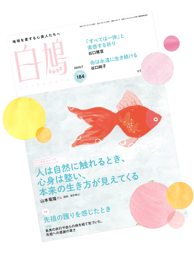 shirohato magazine