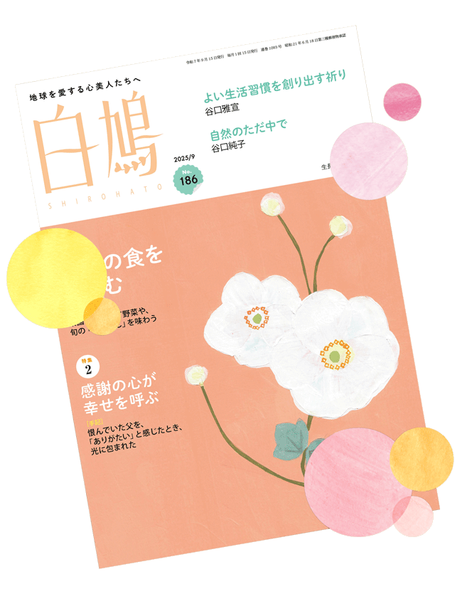 shirohato magazine