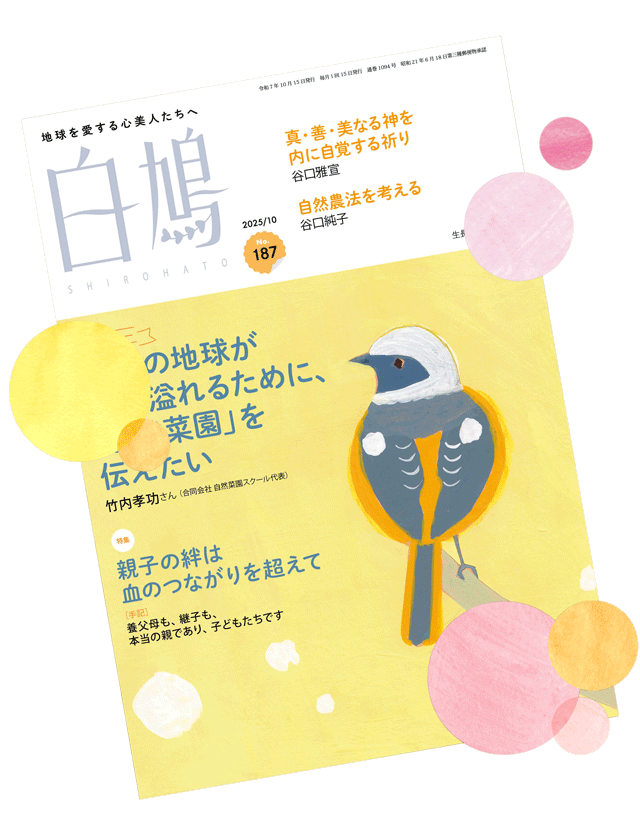 shirohato magazine