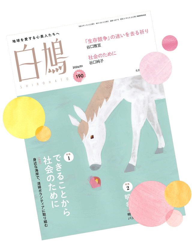 shirohato magazine