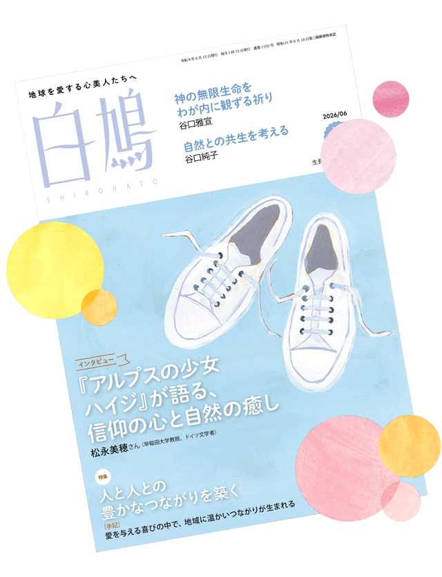 shirohato magazine