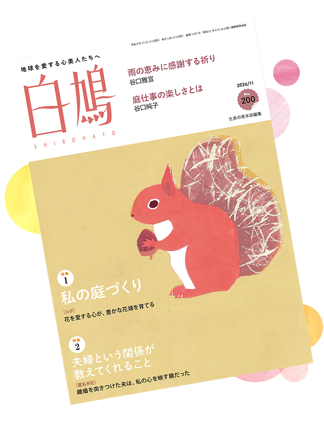 白鳩 No.200（11月号）